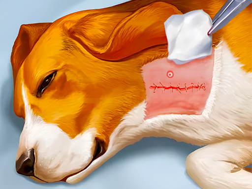 Dog Hospital img